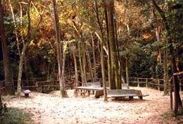 Parque Alfredo Volpi