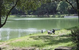 Parque da Aclimao